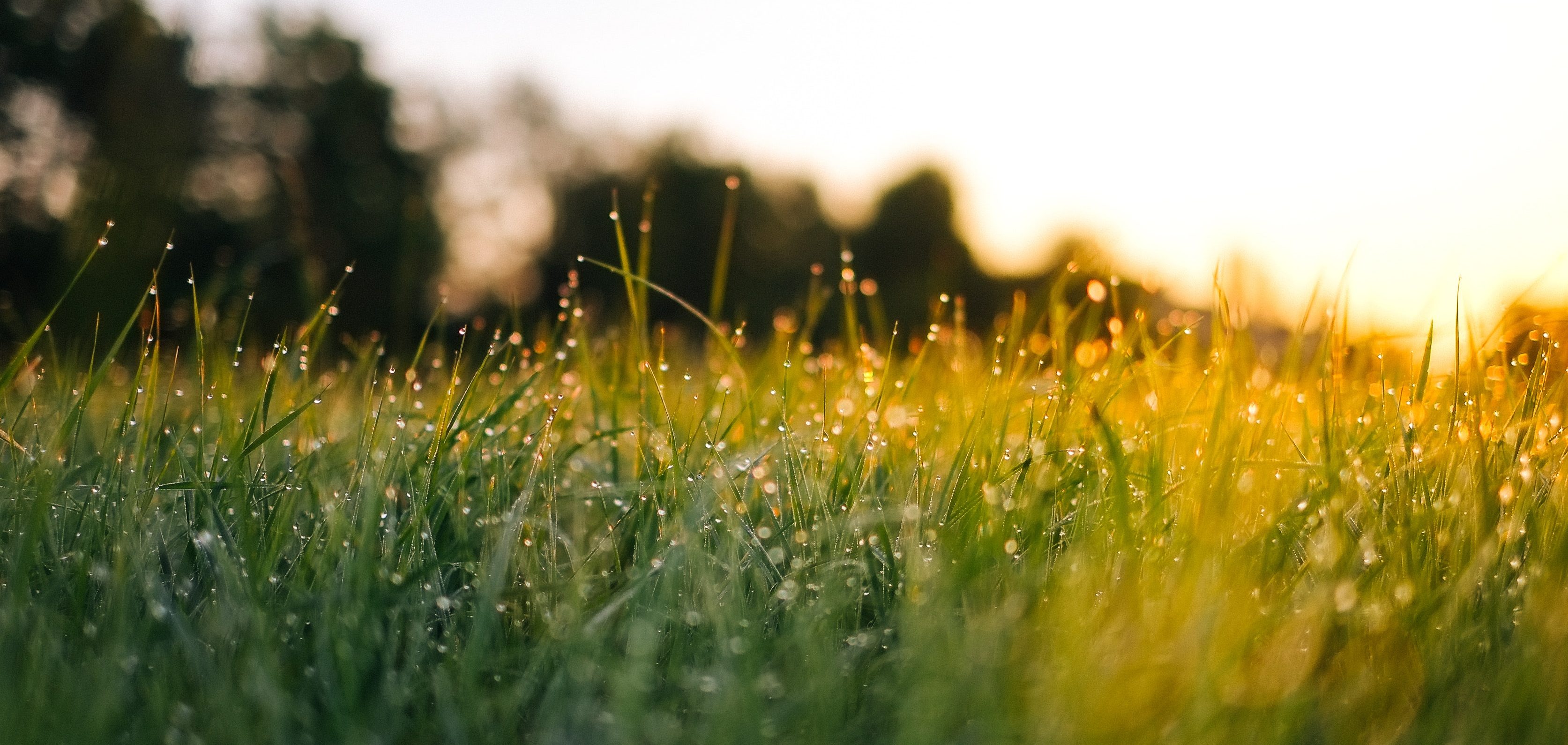 Welcome to OCM Grace Church!